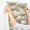 Root Rock Wallpaper Wallpaper Cheseapeake   