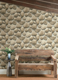 Root Rock Wallpaper Wallpaper Cheseapeake   