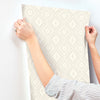 Camp Blanket Wallpaper Wallpaper Cheseapeake   
