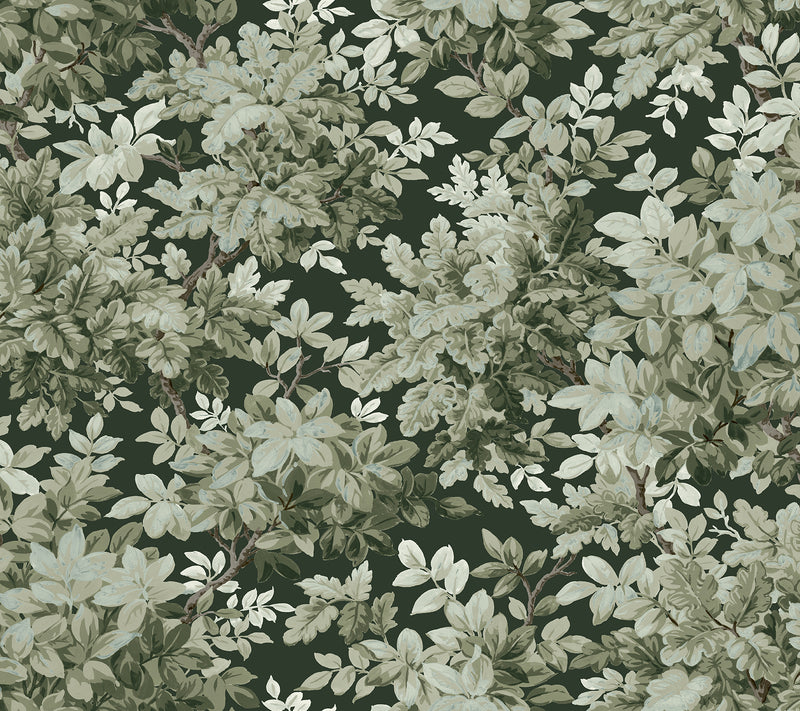 Greenwood Deciduous Wallpaper Wallpaper A-Street Prints Roll Dark Green