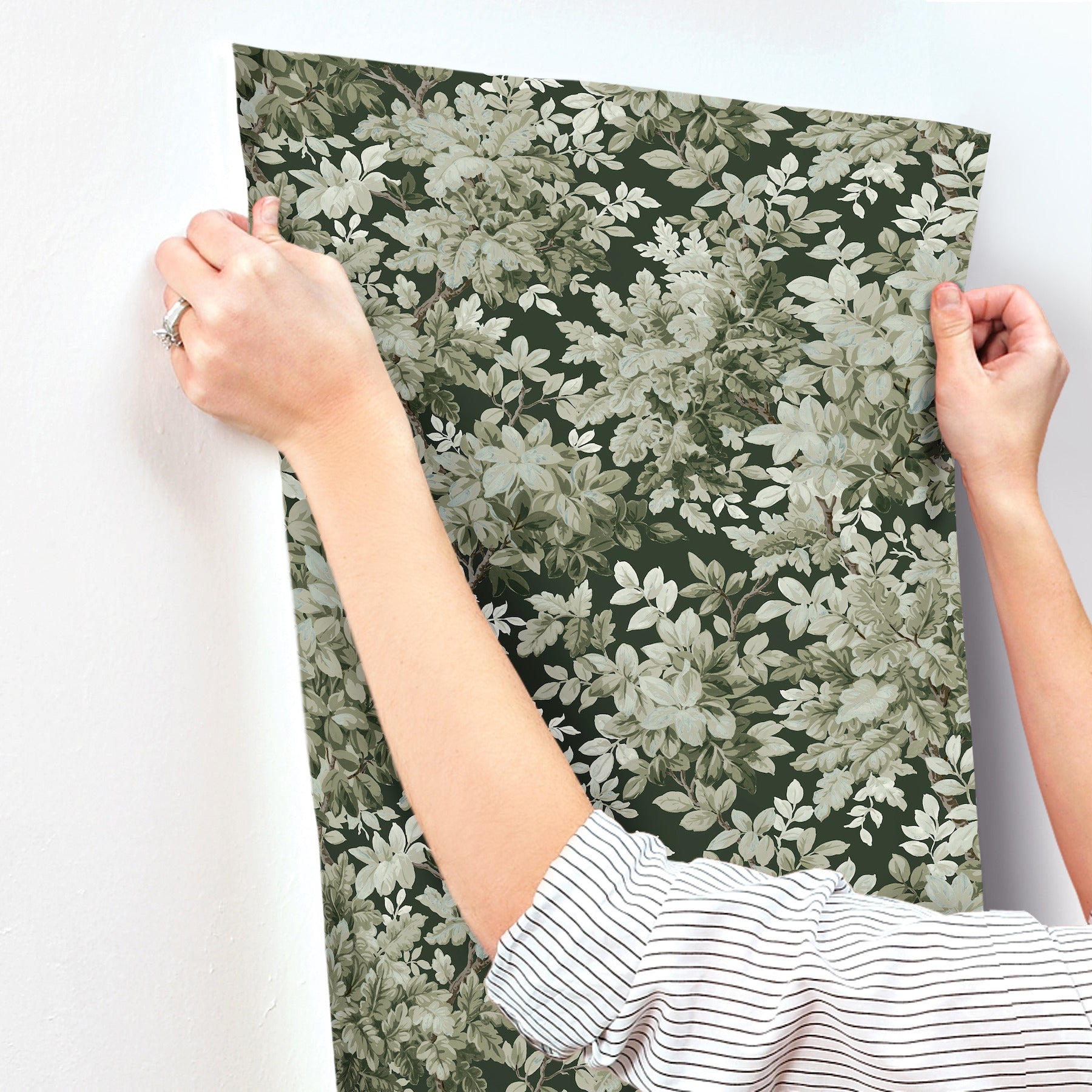 Greenwood Deciduous Wallpaper Wallpaper A-Street Prints