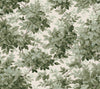Greenwood Deciduous Wallpaper Wallpaper A-Street Prints Roll Moss
