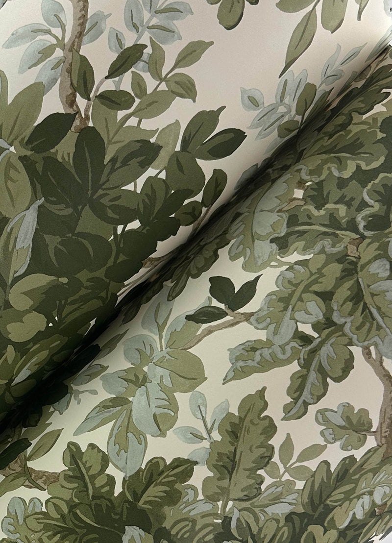 Greenwood Deciduous Wallpaper Wallpaper A-Street Prints