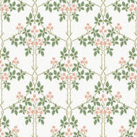 Blackberry Wallpaper Wallpaper A-Street Prints Roll Pink