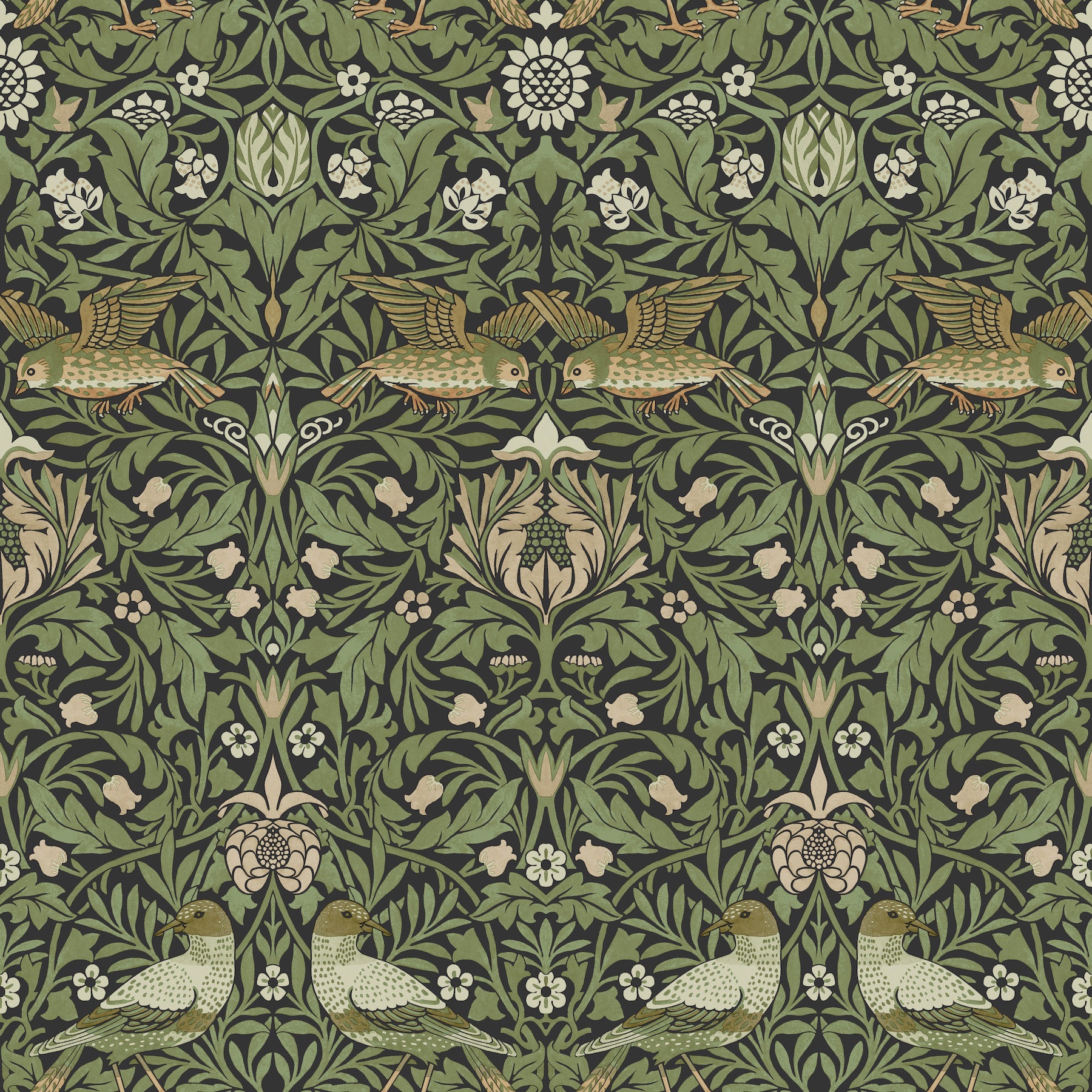 Bird Wallpaper Wallpaper A-Street Prints Roll Green