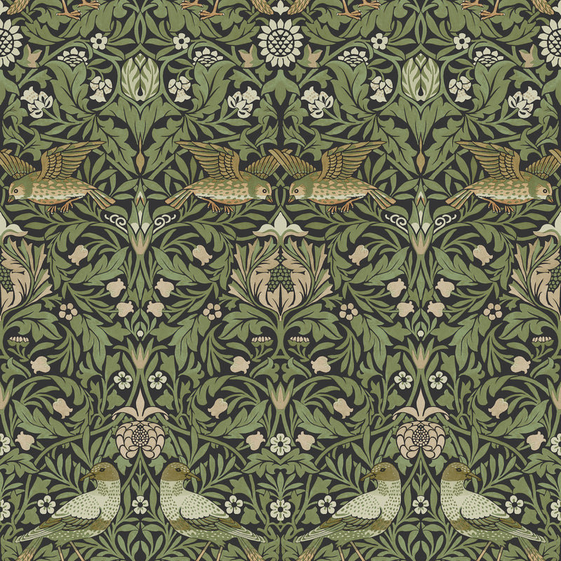 Bird Wallpaper Wallpaper A-Street Prints Roll Green