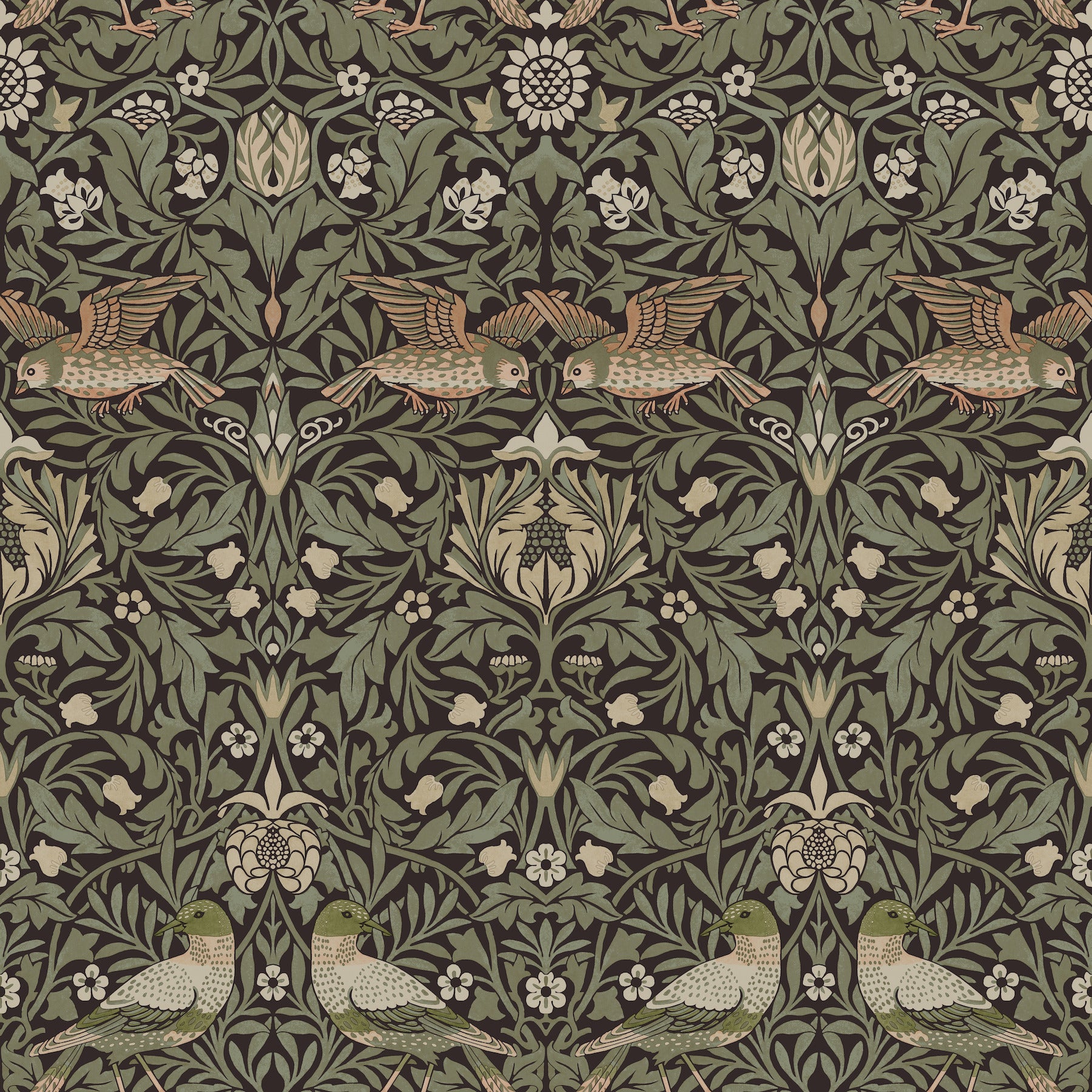 Bird Wallpaper Wallpaper A-Street Prints Roll Brown