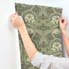 African Marigold Wallpaper Wallpaper A-Street Prints