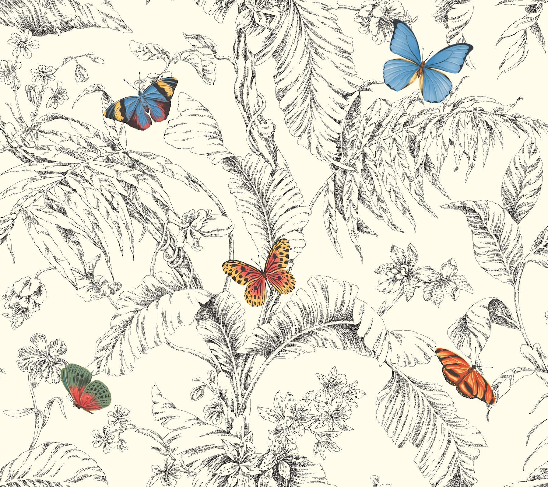 Papillon Wallpaper Wallpaper York Wallcoverings Double Roll Primary 
