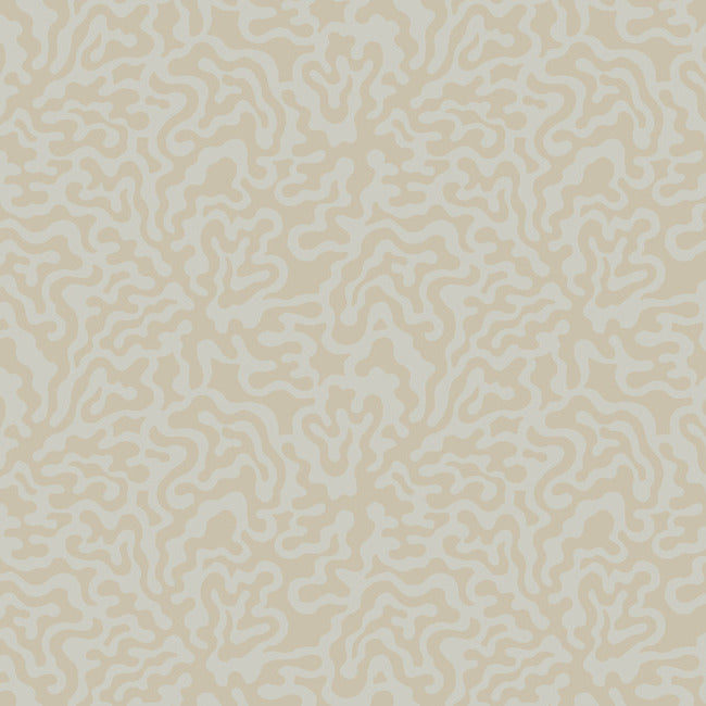 Nebulous Cloud Wallpaper Wallpaper York Wallcoverings Double Roll Grey/Gold 