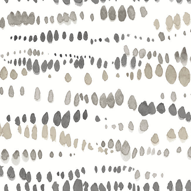 Lisa Audit Dewdrops Wallpaper Wallpaper York Wallcoverings Double Roll Black/Taupe 