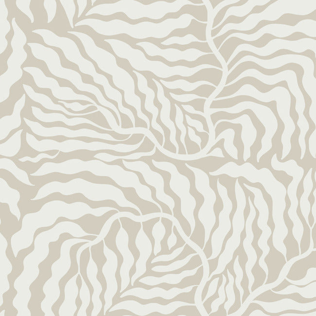 Fern Fronds Wallpaper Wallpaper York Wallcoverings Double Roll Taupe/White 