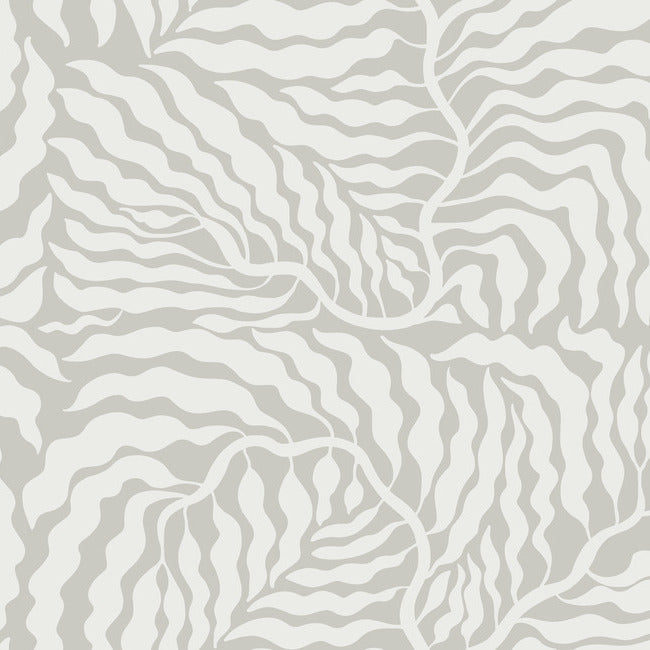 Fern Fronds Wallpaper Wallpaper York Wallcoverings Double Roll Grey/White 