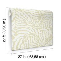 Fern Fronds Wallpaper Wallpaper York Wallcoverings   