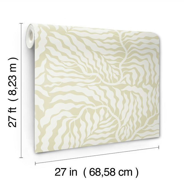 Fern Fronds Wallpaper Wallpaper York Wallcoverings   