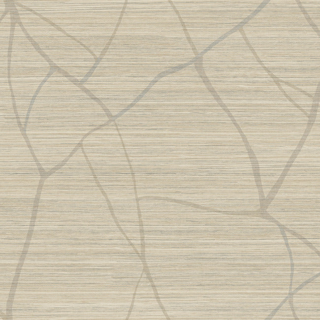 Nikki Chu Raska Wallpaper Wallpaper York Wallcoverings Double Roll Camel 