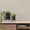 Fountain Grass Wallpaper Wallpaper York Wallcoverings   