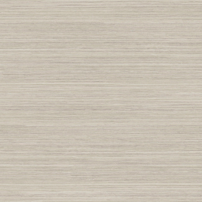 Fountain Grass Wallpaper Wallpaper York Wallcoverings Double Roll Taupe 