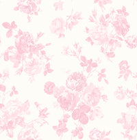 Everblooming Rosettes Jam Cabbage Rose Bouquets Wallpaper Wallpaper A-Street Prints Double Roll Pink Jam 