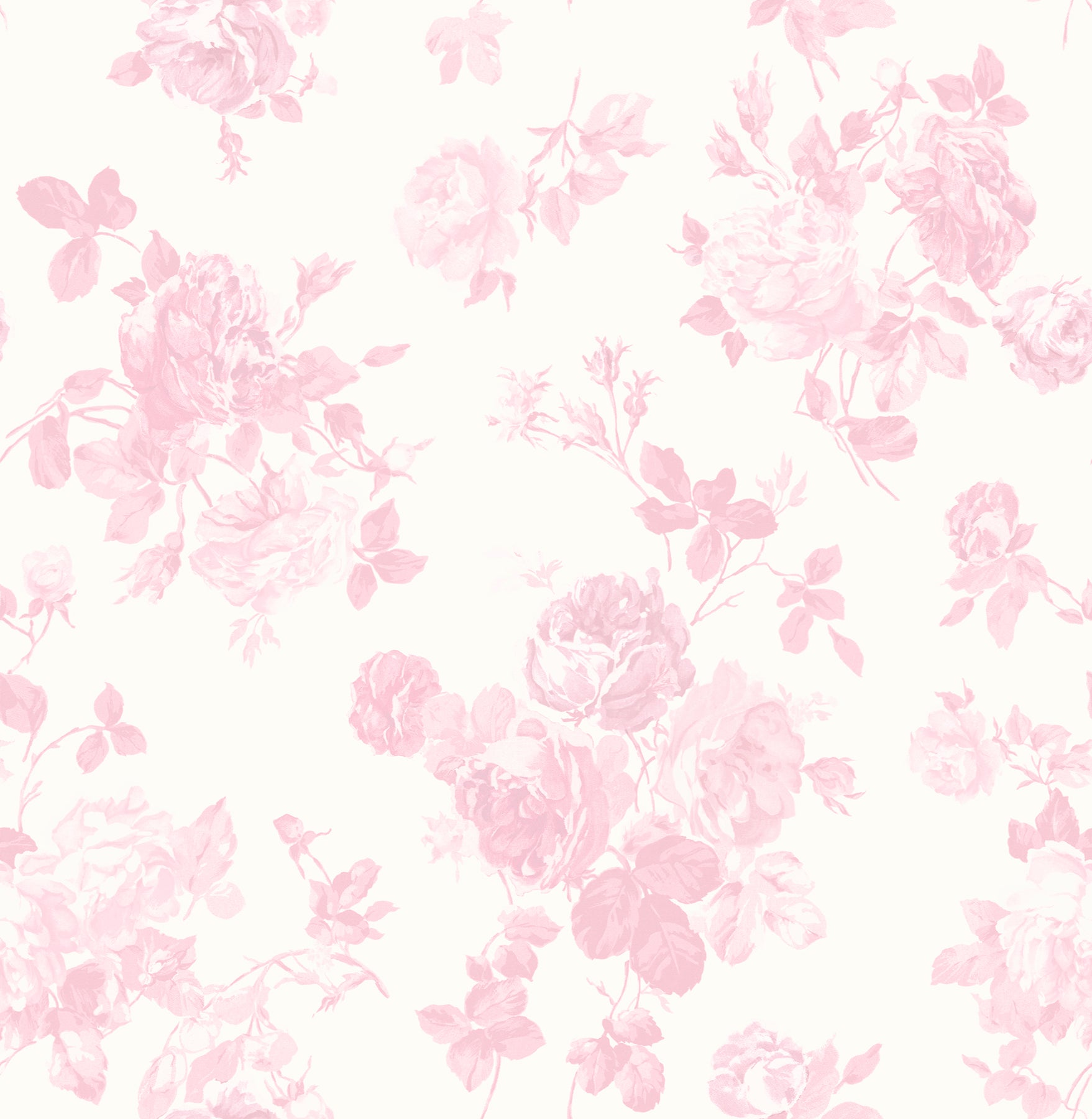 Everblooming Rosettes Jam Cabbage Rose Bouquets Wallpaper Wallpaper A-Street Prints Double Roll Pink Jam 