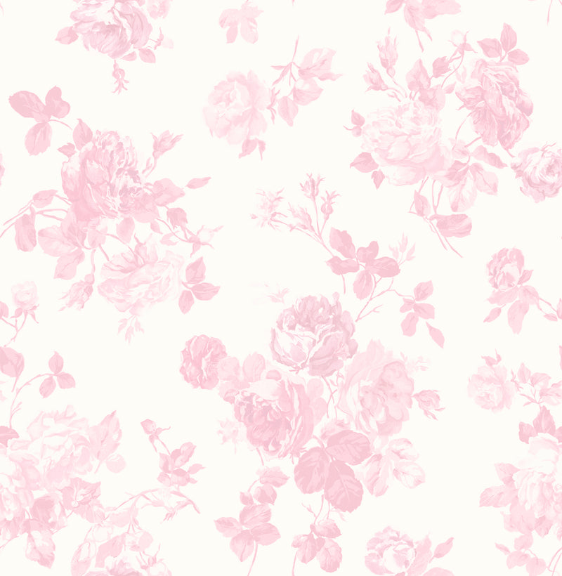 Everblooming Rosettes Jam Cabbage Rose Bouquets Wallpaper Wallpaper A-Street Prints Double Roll Pink Jam 