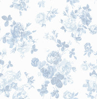 Everblooming Rosettes Jam Cabbage Rose Bouquets Wallpaper Wallpaper A-Street Prints Double Roll Dreamy Sky 