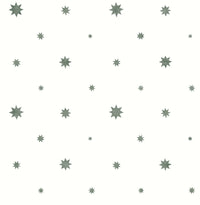 Henry Stone Starburst Wallpaper Wallpaper A-Street Prints Double Roll Green 