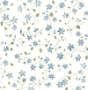 Betsy Heather Floral Trail Wallpaper Wallpaper A-Street Prints Double Roll Blue Heather 
