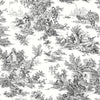 Campagne Toile Wallpaper Wallpaper York Wallcoverings Double Roll Black/White 
