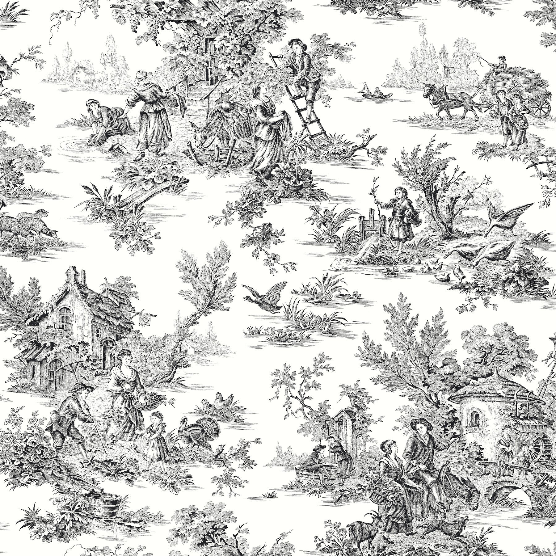 Campagne Toile Wallpaper Wallpaper York Wallcoverings Double Roll Black/White 