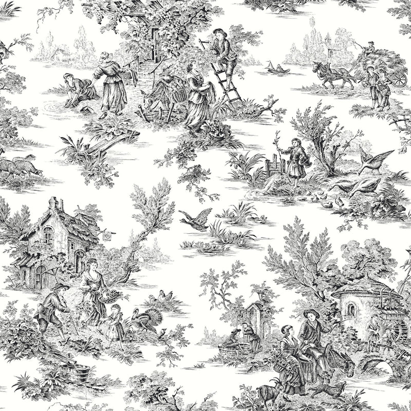 Campagne Toile Wallpaper Wallpaper York Wallcoverings Double Roll Black/White 