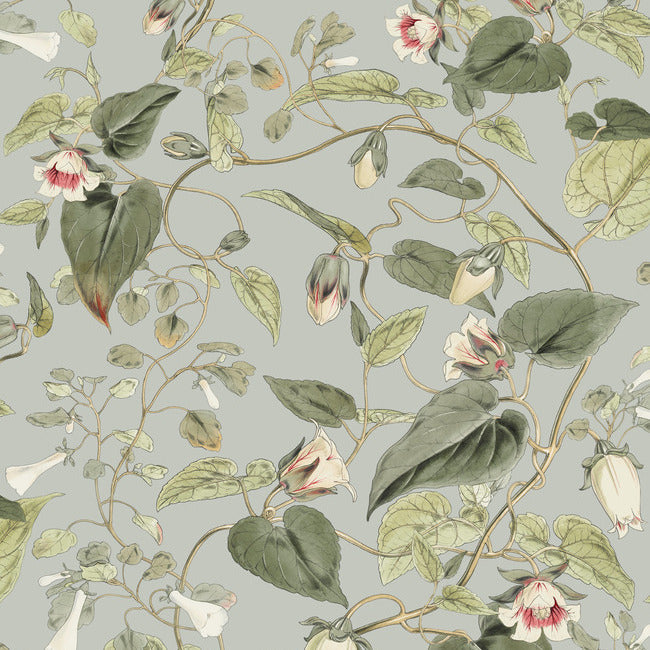 Moon Flower Wallpaper Wallpaper York Wallcoverings Double Roll Dove 