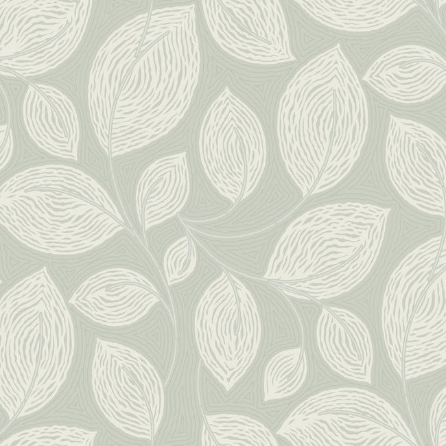 Contoured Leaves Wallpaper Wallpaper York Designer Series Double Roll Green 