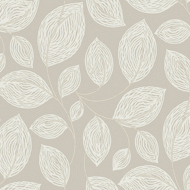 Contoured Leaves Wallpaper Wallpaper York Designer Series Double Roll Taupe 