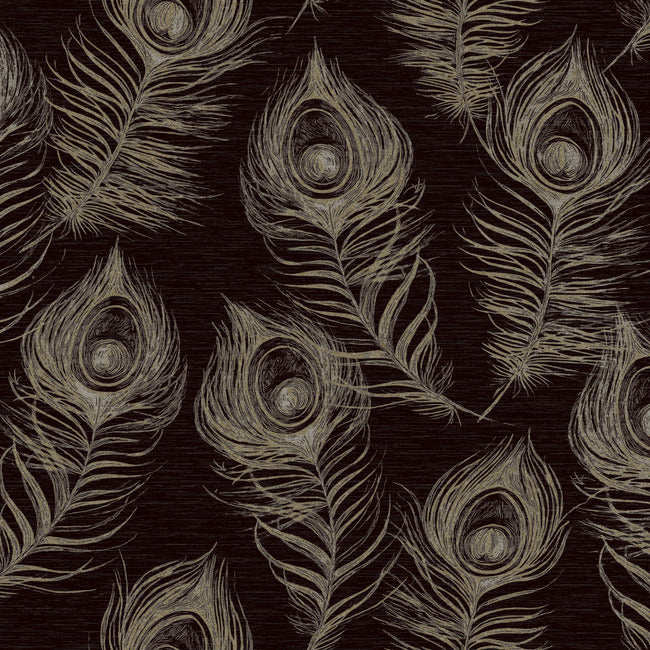 Regal Peacock Wallpaper Wallpaper York Designer Series Double Roll Black 