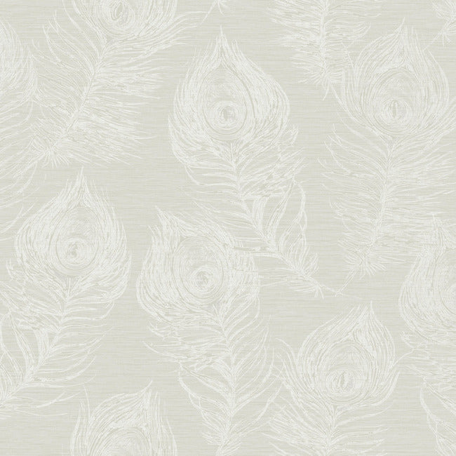 Regal Peacock Wallpaper Wallpaper York Designer Series Double Roll White 