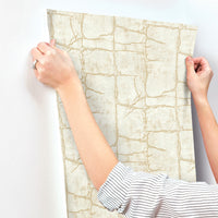 Mojave Wallpaper Alternative Room Image 27