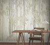 Aspen Grove Mural Wall Murals York Wallcoverings