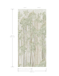 Aspen Grove Mural Wall Murals York Wallcoverings