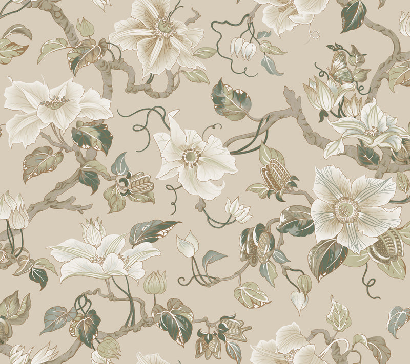 Marguerite Vine Wallpaper Wallpaper Ronald Redding Roll Taupe 