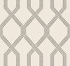Palisade Wallpaper Wallpaper Ronald Redding Roll Black 