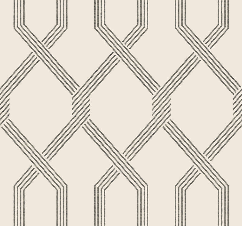 Palisade Wallpaper Wallpaper Ronald Redding Roll Black 