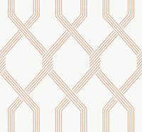 Palisade Wallpaper Wallpaper Ronald Redding Roll Coral 