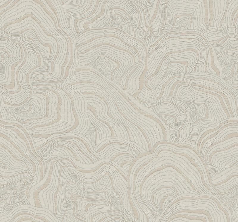 Geodes Wallpaper Wallpaper Ronald Redding Roll Taupe 