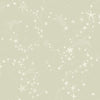 Stjärnhimmel Wallpaper Wallpaper York Wallcoverings Roll Light Green