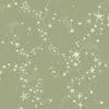 Stjärnhimmel Wallpaper Wallpaper York Wallcoverings Roll Green