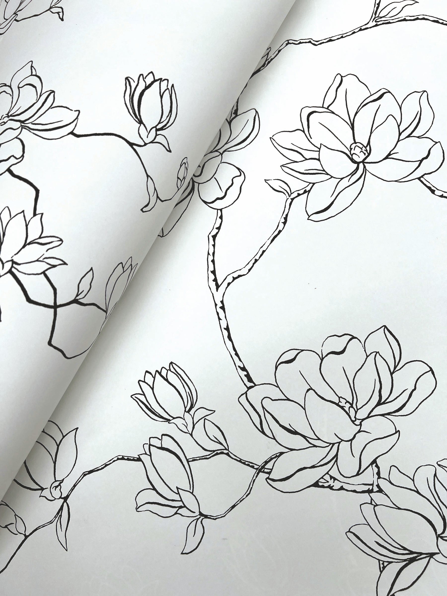 Magnolia Branches Wallpaper Wallpaper York   