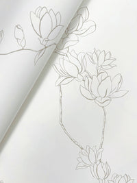 Magnolia Branches Wallpaper Wallpaper York   