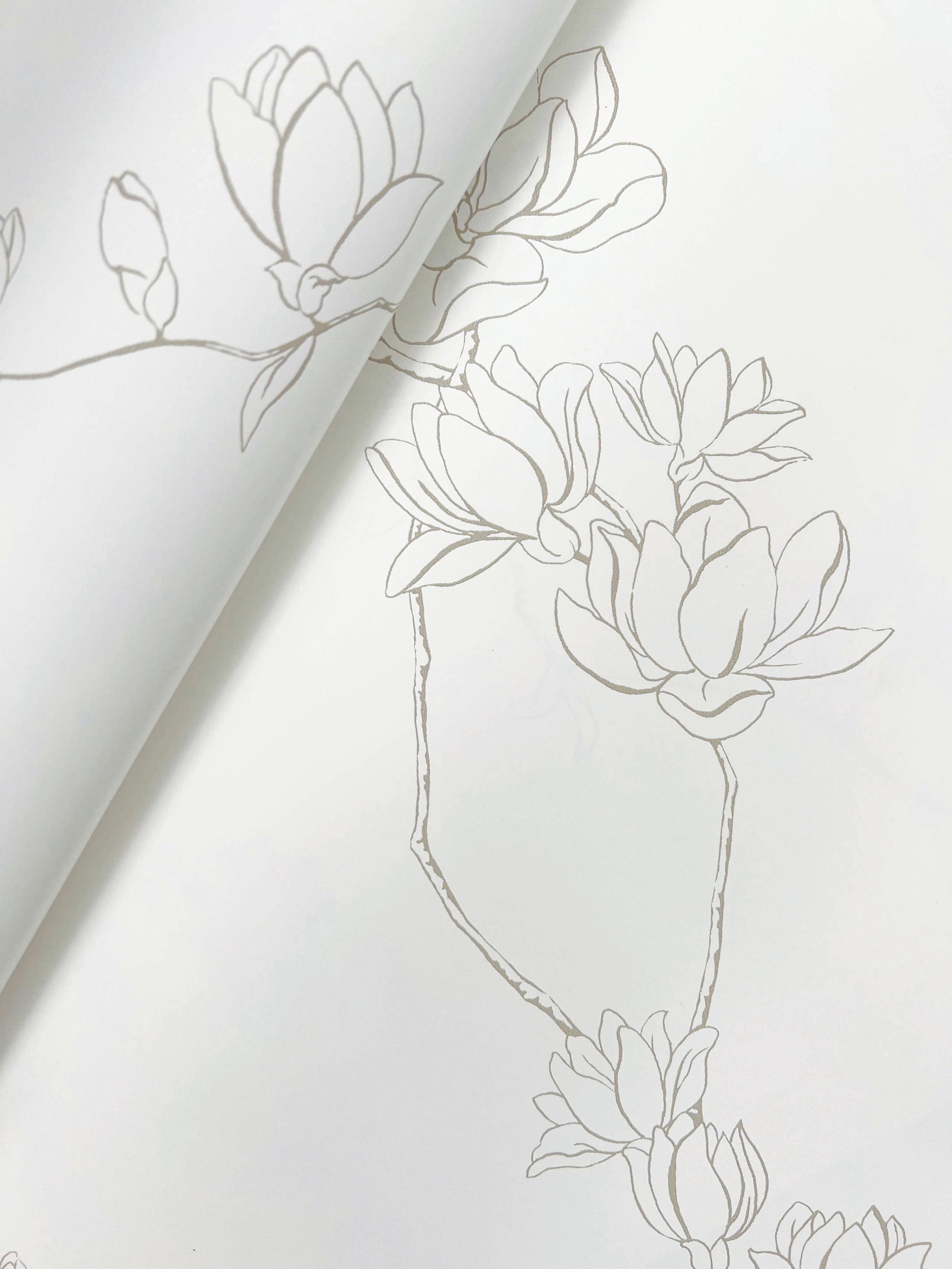 Magnolia Branches Wallpaper Wallpaper York   
