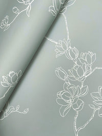 Magnolia Branches Wallpaper Wallpaper York   
